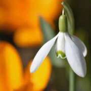 ヒメ日記 2025/01/22 08:55 投稿 さえ 人妻倶楽部内緒の関係 春日部店