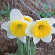 ヒメ日記 2025/03/07 10:55 投稿 さえ 人妻倶楽部内緒の関係 春日部店