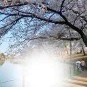 ヒメ日記 2026/03/30 11:25 投稿 さえ 人妻倶楽部内緒の関係 春日部店