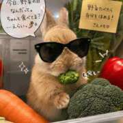 さえ 【悲報】今日野菜の日らしい。 人妻倶楽部内緒の関係 春日部店