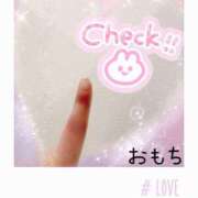 ヒメ日記 2024/12/28 12:25 投稿 おもち バニラシュガー古河店