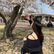 ヒメ日記 2025/04/10 09:06 投稿 りり スッキリ！！日本橋店