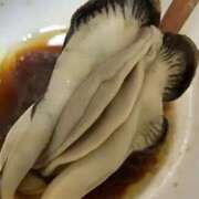 ヒメ日記 2025/05/19 22:16 投稿 えりか 俺のジュニア