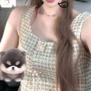 ヒメ日記 2025/09/15 04:10 投稿 えりか 俺のジュニア