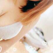 ヒメ日記 2025/03/22 09:52 投稿 みここ 香川サンキュー