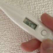 ヒメ日記 2025/04/26 15:25 投稿 綾瀬　りな つくば風俗エキスプレス   ヌキ坂46