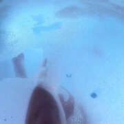 ヒメ日記 2025/05/01 23:54 投稿 綾瀬　りな つくば風俗エキスプレス   ヌキ坂46