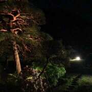 ヒメ日記 2025/01/11 08:43 投稿 あいる 国分寺人妻研究会