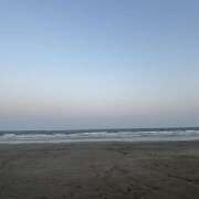 ヒメ日記 2025/03/24 15:16 投稿 あいる 国分寺人妻研究会