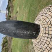 ヒメ日記 2025/04/03 15:36 投稿 あいる 国分寺人妻研究会