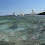 ヒメ日記 2025/09/13 08:55 投稿 あいる 国分寺人妻研究会