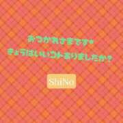 ヒメ日記 2024/11/20 20:21 投稿 しの ぽっちゃり女神 あぷろでぃーて