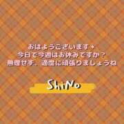 ヒメ日記 2024/11/22 06:01 投稿 しの ぽっちゃり女神 あぷろでぃーて