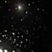 ヒメ日記 2024/12/13 23:52 投稿 ひかり パリス雄琴店