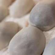 ヒメ日記 2024/12/30 12:04 投稿 ひかり パリス雄琴店