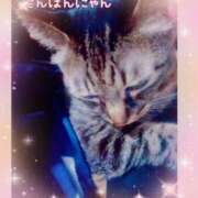 ヒメ日記 2024/12/23 22:27 投稿 りおん 奥様の実話 梅田店