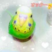 ヒメ日記 2025/11/10 22:30 投稿 りおん 奥様の実話 梅田店