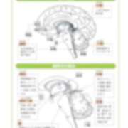 ヒメ日記 2026/02/26 15:23 投稿 ゆずき 金の玉クラブ池袋～密着睾丸マッサージ～