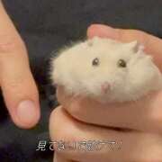 ヒメ日記 2025/06/28 12:14 投稿 こころ 神田エマニエル