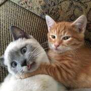 ヒメ日記 2025/07/21 20:26 投稿 こころ 神田エマニエル