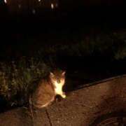 ヒメ日記 2025/08/30 14:49 投稿 こころ 神田エマニエル