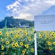 ヒメ日記 2025/12/07 14:13 投稿 こころ 神田エマニエル