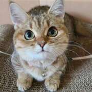 ヒメ日記 2025/12/20 15:33 投稿 こころ 神田エマニエル