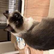 ヒメ日記 2026/01/18 14:09 投稿 こころ 神田エマニエル