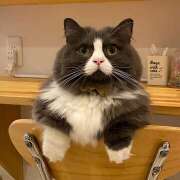 ヒメ日記 2026/02/11 15:59 投稿 こころ 神田エマニエル