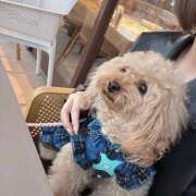 ヒメ日記 2026/02/12 15:15 投稿 こころ 神田エマニエル