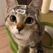 ヒメ日記 2026/02/24 14:49 投稿 こころ 神田エマニエル