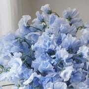 こころ 驚かれるのですが 神田エマニエル