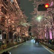 ヒメ日記 2026/03/26 15:01 投稿 こころ 神田エマニエル