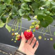こころ 珍しく日曜日出勤です🫶 神田エマニエル