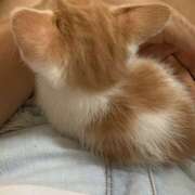 こころ ちっちゃい😭💕 神田エマニエル