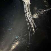 ヒメ日記 2025/06/20 23:09 投稿 新山さや パリス雄琴店