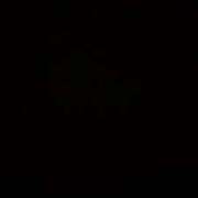 ヒメ日記 2025/11/24 20:12 投稿 新山さや パリス雄琴店