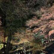 ヒメ日記 2025/12/01 17:22 投稿 新山さや パリス雄琴店