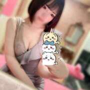 ヒメ日記 2025/03/12 09:22 投稿 まろん ジャパンクラブ富士