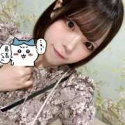 ヒメ日記 2025/08/21 08:02 投稿 まろん ジャパンクラブ富士