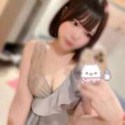 ヒメ日記 2025/11/11 15:22 投稿 まろん ジャパンクラブ富士