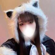 ヒメ日記 2025/12/11 07:05 投稿 まや・SP やまとなでしこ桜組