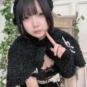 ヒメ日記 2024/12/23 04:29 投稿 えま【喘ぎめちゃカワ沼り注意】 STELLA NEXT－ステラネクスト－