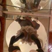 ヒメ日記 2025/01/08 11:20 投稿 えま【喘ぎめちゃカワ沼り注意】 STELLA NEXT－ステラネクスト－