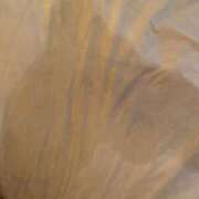 ヒメ日記 2025/02/02 10:47 投稿 えま【喘ぎめちゃカワ沼り注意】 STELLA NEXT－ステラネクスト－