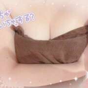 ヒメ日記 2025/02/27 16:44 投稿 有馬寧々(ありまねね) 姫路マダム大奥