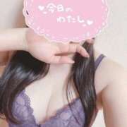 ヒメ日記 2025/05/29 11:31 投稿 有馬寧々(ありまねね) 姫路マダム大奥