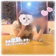 ヒメ日記 2025/03/07 22:33 投稿 なる 折り紙 ORIGAMI