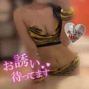 ヒメ日記 2026/02/11 11:57 投稿 なる 折り紙 ORIGAMI