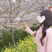 ヒメ日記 2025/04/18 14:26 投稿 みお 新潟デリヘル倶楽部